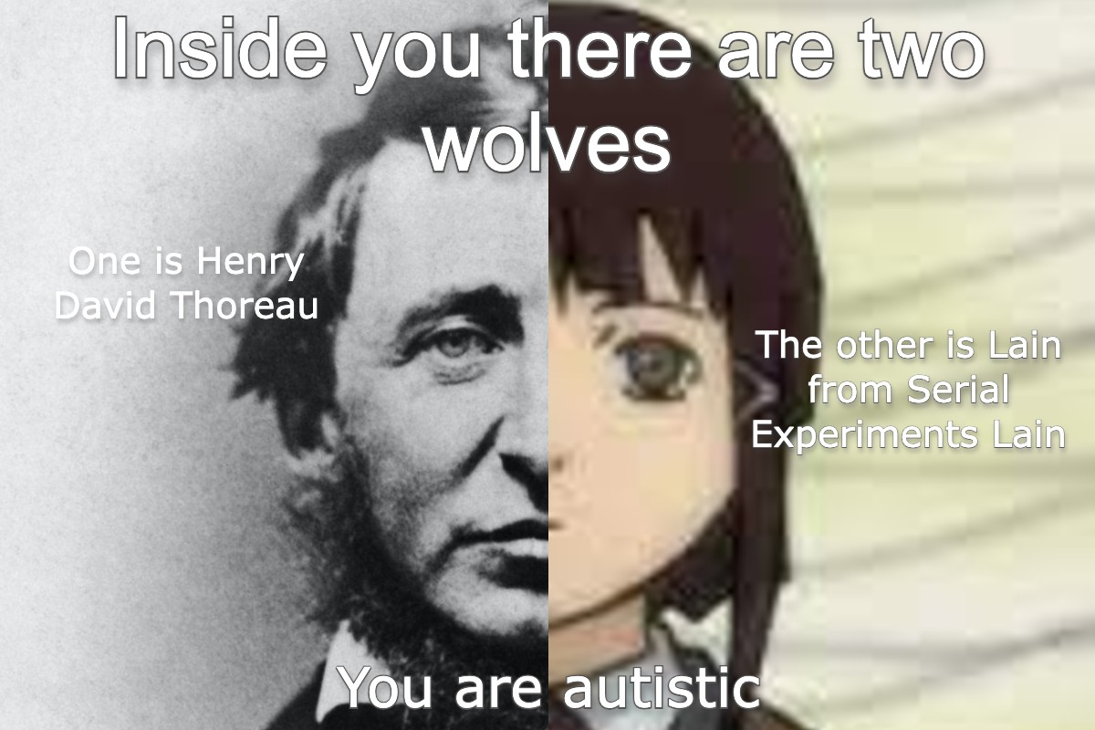 There are two wolves inside you. One is Henry David Thoreau and the other is Lain from Serial Experiments Lain. You are autistic